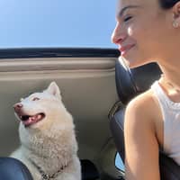 Sitter Profile Image: Arianna S.