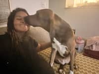 Sitter Profile Image: Ana-Alicia C.