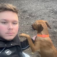 Photo de profil du pet sitter : Roman B.