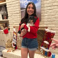 Sitter Profile Image: Vanessa V.