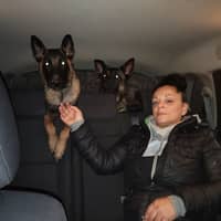 Foto del cuidador: Mari P.