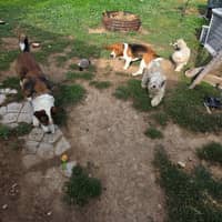 Sitter Profile Image: Christopher B.