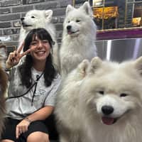 Immagine del profilo del sitter: Giada M.