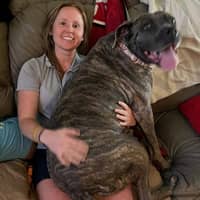 Sitter Profile Image: Tiffany S.