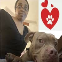 Sitter Profile Image: Tameshia C.