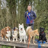 Photo de profil du pet sitter : Marion M.