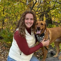 Sitter Profile Image: Annelise K.