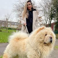 Sitter Profile Image: Seyedehsahar N.