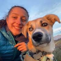 Photo de profil du pet sitter : Enola P.