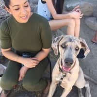 Sitter Profile Image: Cathy S.