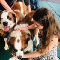 Sitter Profile Image: Alina L.