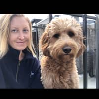 Sitter Profile Image: Chelsea L.