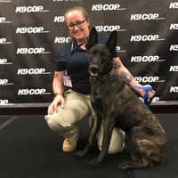 Sitter Profile Image: Donna C.