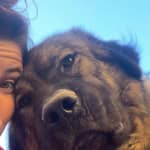 Sitter Profile Image: Zaloa A.