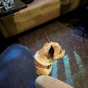 Sitter Profile Image: Marius P.