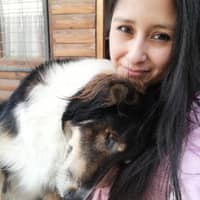 Photo de profil du pet sitter : Rosalia H.