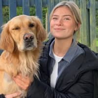 Sitter Profile Image: Holly M.