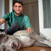 Foto del cuidador: Andres R.