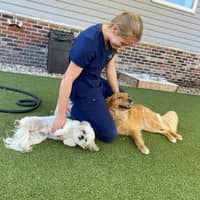 Sitter Profile Image: Olivia B.