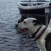 Sitter Profile Image: Amanda M.