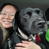 Sitter Profile Image: Karen C.