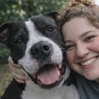 Sitter Profile Image: Meghan C.