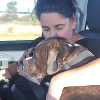 Sitter Profile Image: Star H.