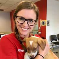 Sitter Profile Image: Kinsley W.