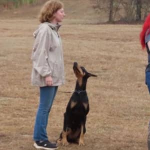 Sitter Profile Image: Veronica S.