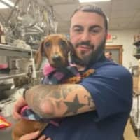 Sitter Profile Image: Eitan B.