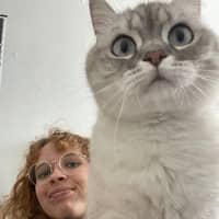 Sitterprofilbild: Maali E.