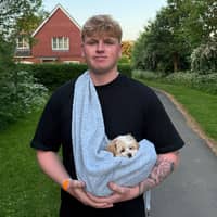 Sitter Profile Image: Ben B.