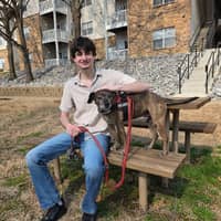 Sitter Profile Image: Noah F.