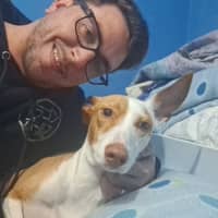 Foto del cuidador: Jose L.