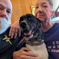 Sitter Profile Image: Lisa S.