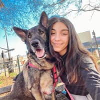 Sitter Profile Image: Sofia C.