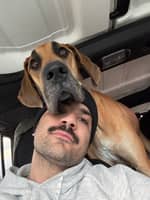 Sitter Profile Image: Dominic T.