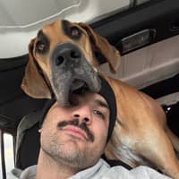 Sitter Profile Image: Dominic T.