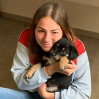 Photo de profil du pet sitter : Anaïs P.