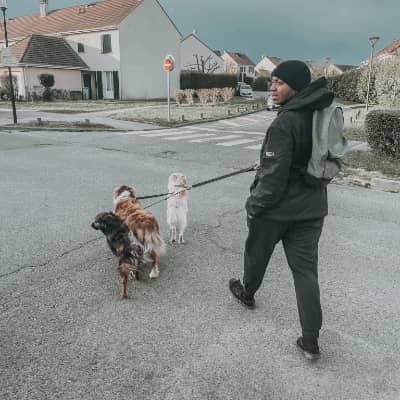 Photo de profil du pet sitter : Marvin F.