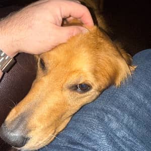 Sitter Profile Image: Rob S.