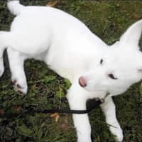 Sitter Profile Image: Monica B.