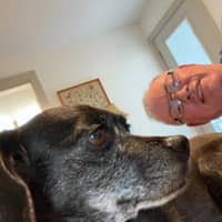 Sitter Profile Image: David D.