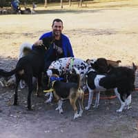 Immagine del profilo del sitter: Thiago G.