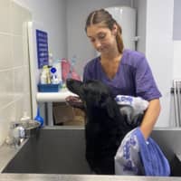 Photo de profil du pet sitter : Marina R.