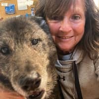 Sitter Profile Image: Tina B.