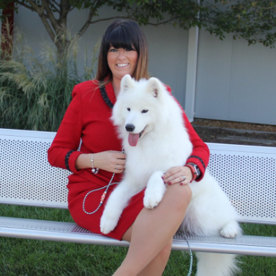 doggy day care bedford