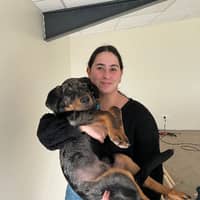 Photo de profil du pet sitter : Elisa N.