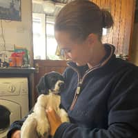 Sitter Profile Image: Abbie C.