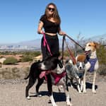 Sitter Profile Image: Lauryn H.